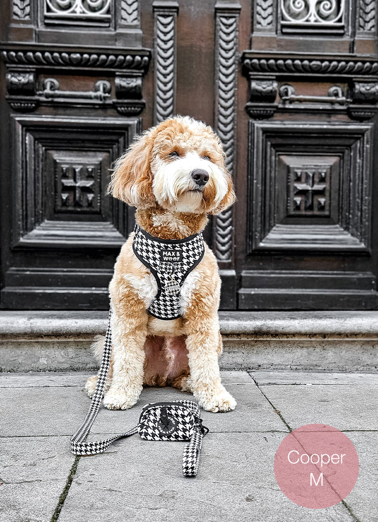 hond met Max & Woof tuigje met pied de poule print