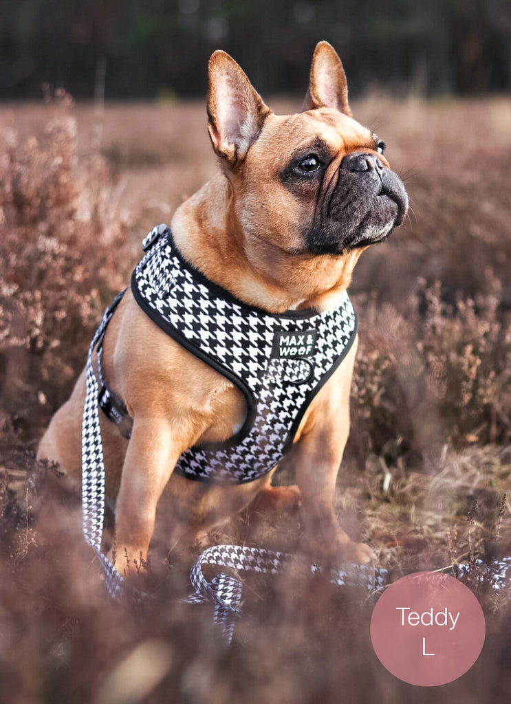 hond met zwart wit pied de poule tuigje