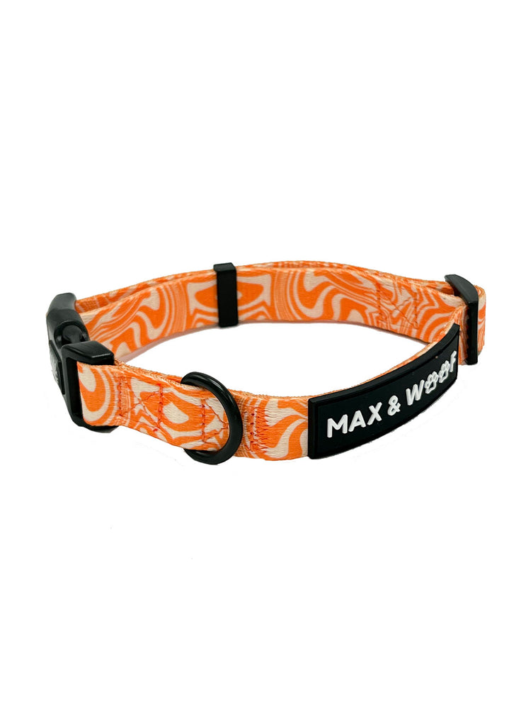 oranje halsband hond koningsdag voorkant
