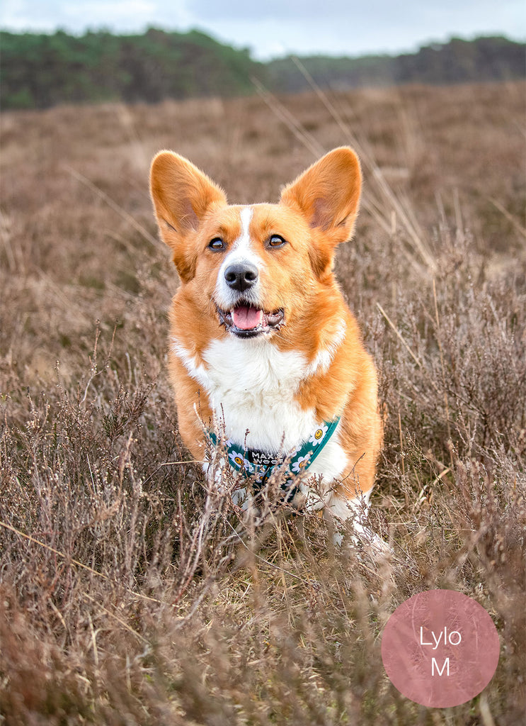 groen tuigje hond met smiley bloemetjes print