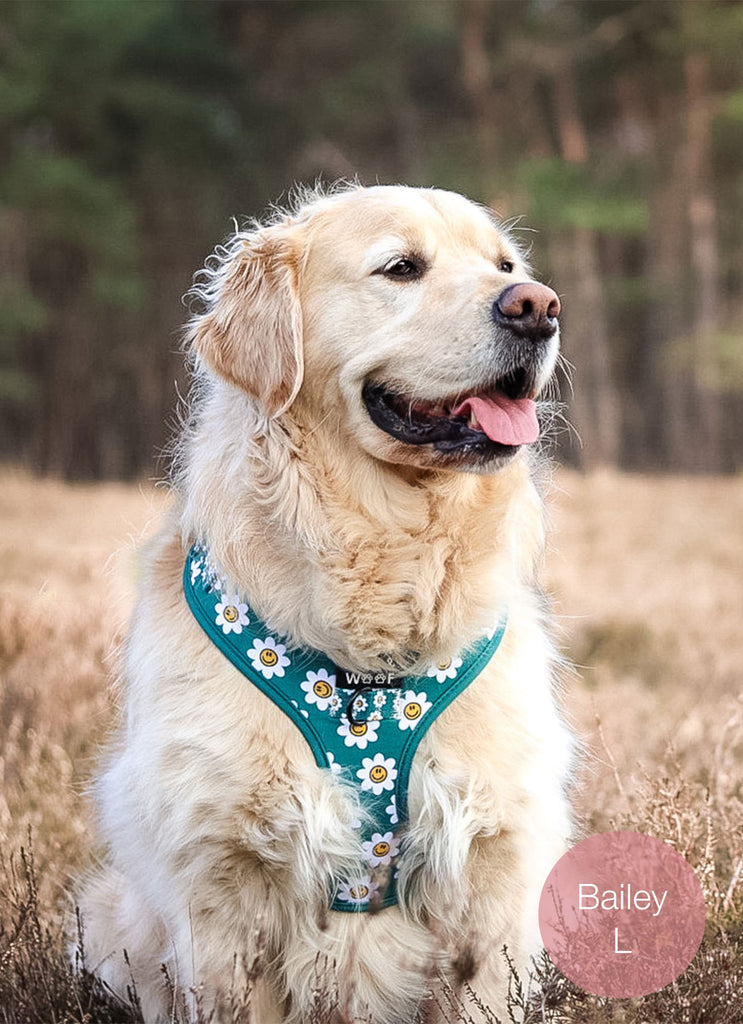 hond met groene hondentuigjes met smiley bloemetjes print