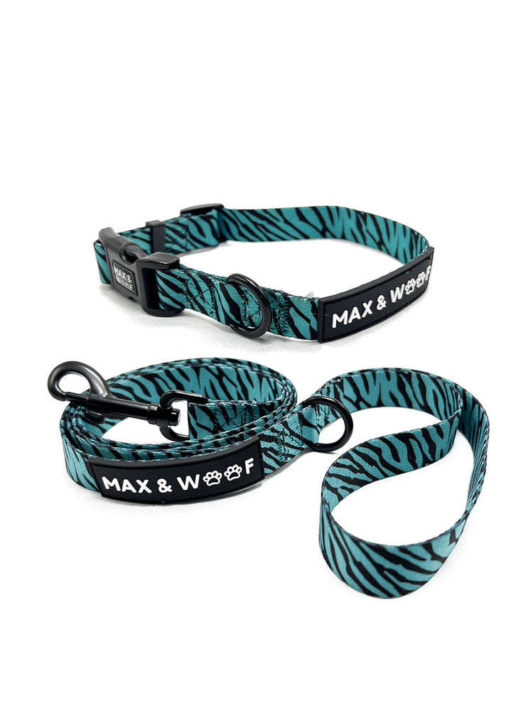 groene halsband set met halsband en riem en zebraprint