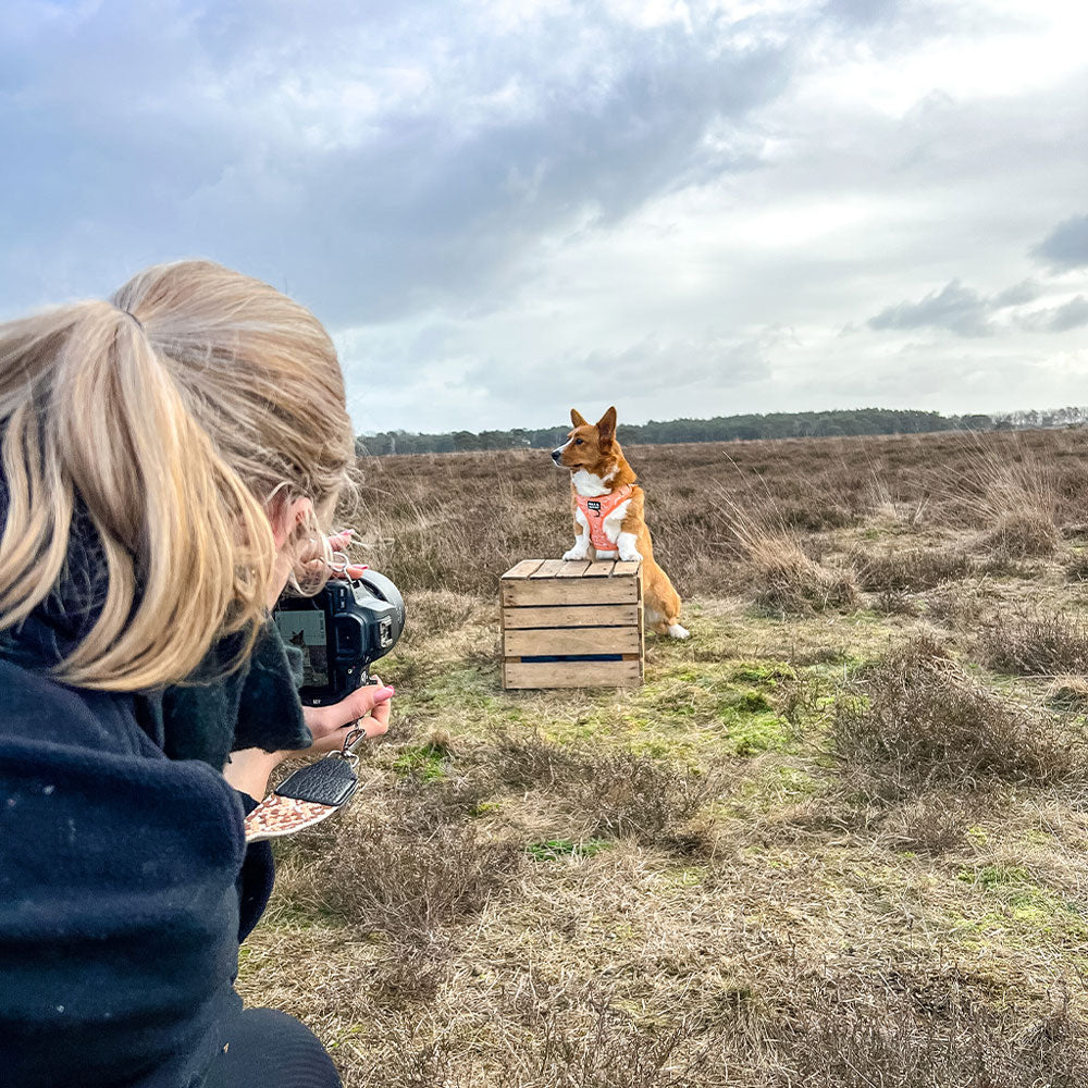 max & woof behind the scenes fotoshoot met hond