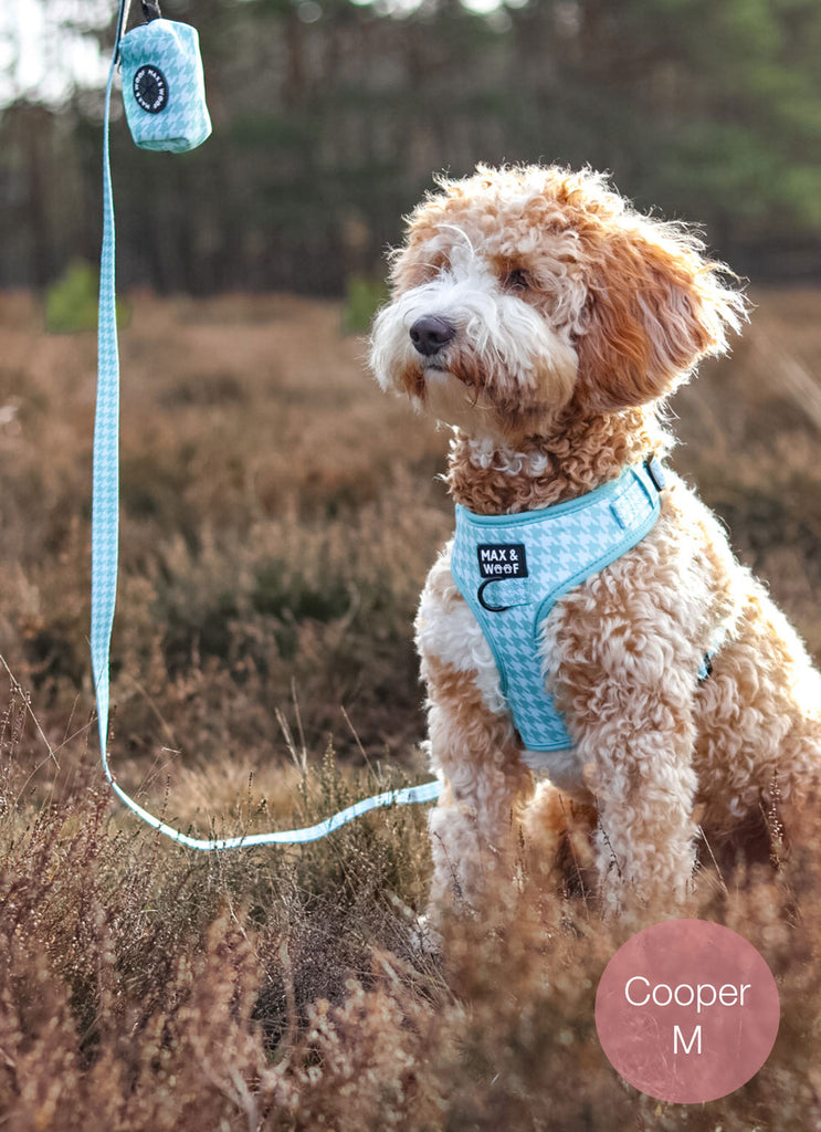 hond met groen pied de poule hondentuigje