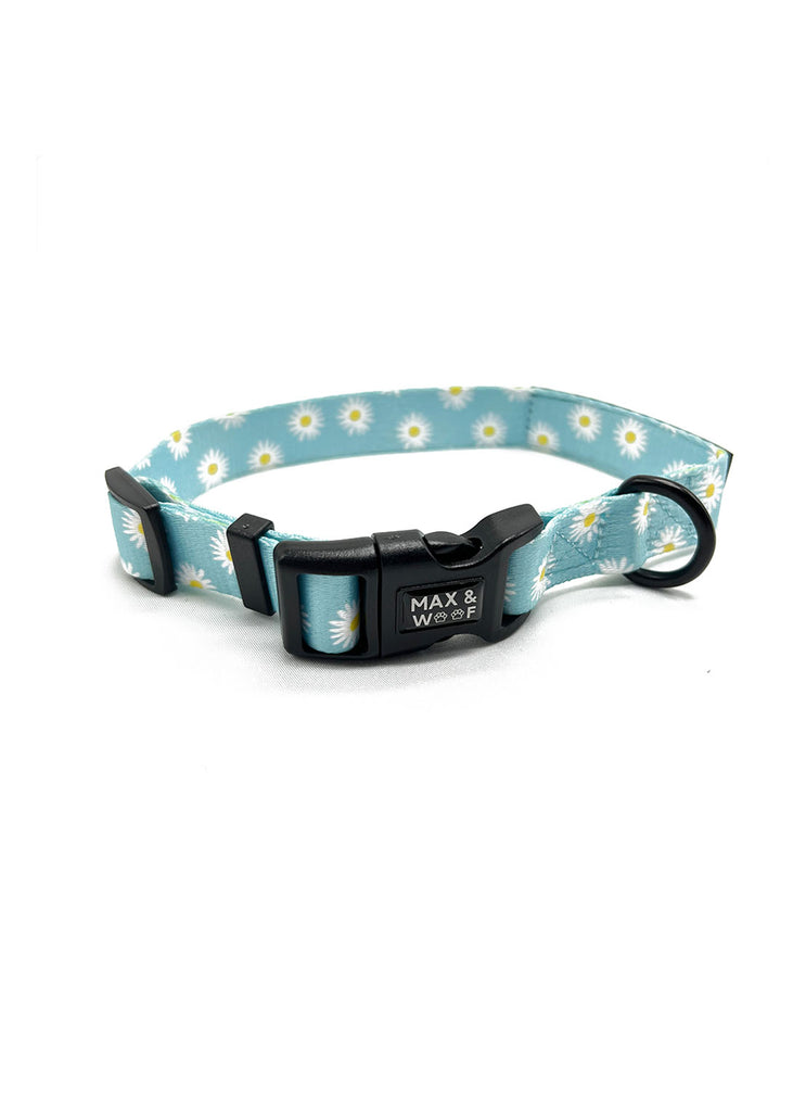 blauwe halsband hond met madeliefjes